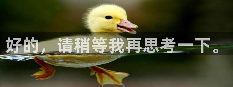 age动漫官网版入口