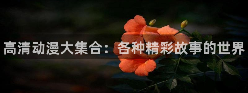 age动漫官网版入口
