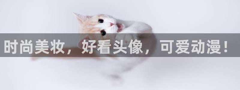 age动漫官网在线入口