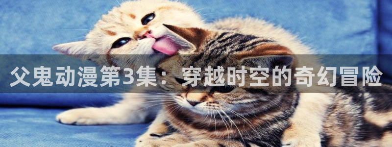 在线动画动漫下载age动漫