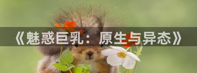 age动漫樱花