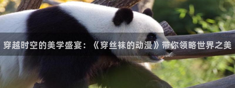 age动漫下载入口：穿越时空的美学盛宴：《穿丝袜的动漫》带你领略世界之美