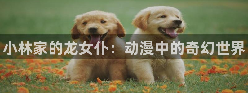 age动漫官网在线入口：小林家的龙女仆：动漫中的奇幻世界