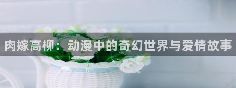 age动漫官网版入口：肉嫁高柳：动漫中的奇幻世界与爱情故事
