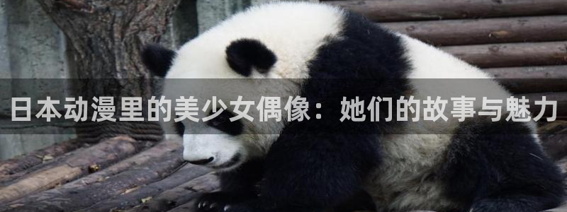 age动漫官网网址：日本动漫里的美少女偶像：她们的故事与魅力