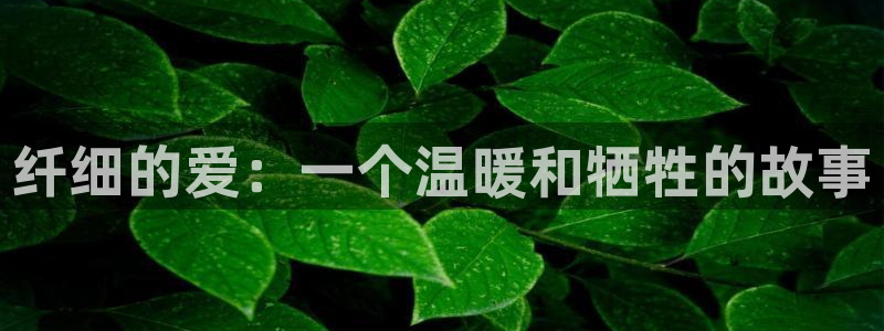 在线动画动漫下载age动漫