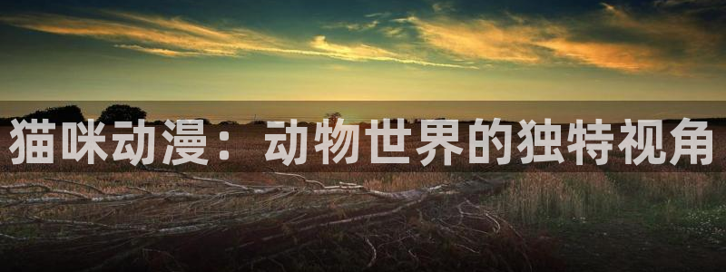 age动漫网