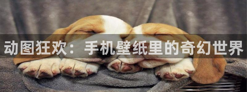 age动漫网下载：动图狂欢：手机壁纸里的奇幻世界