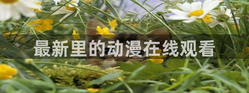 age动漫：最新里的动漫在线观看