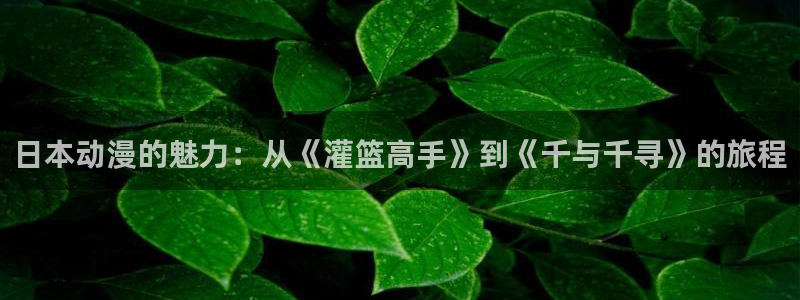 lovestage漫画免费阅读：日本动漫的魅力：从《灌篮高手》到《千与千寻》的旅程