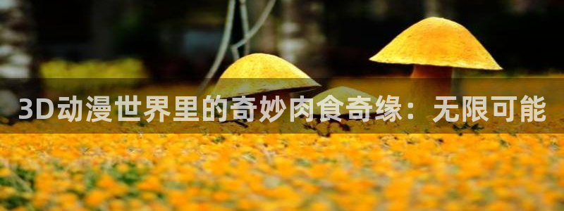 age动漫下载网：3D动漫世界里的奇妙肉食奇缘：无限可能