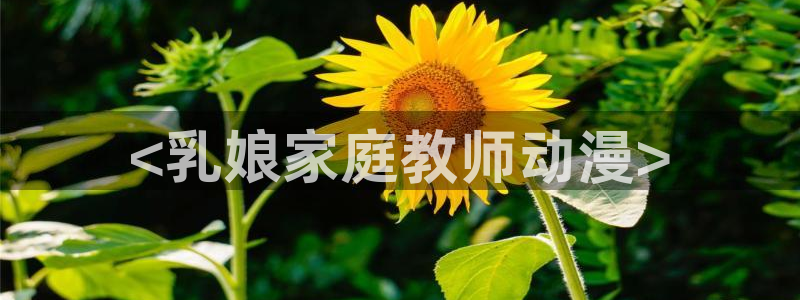 managereader漫画官网入口：<乳娘家庭教师动漫>