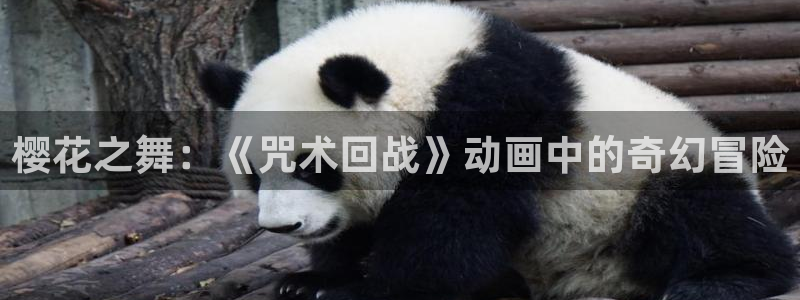 age动漫官网网址：樱花之舞：《咒术回战》动画中的奇幻冒险