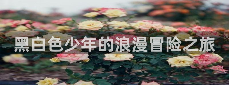 colamanage漫画下载：黑白色少年的浪漫冒险之旅