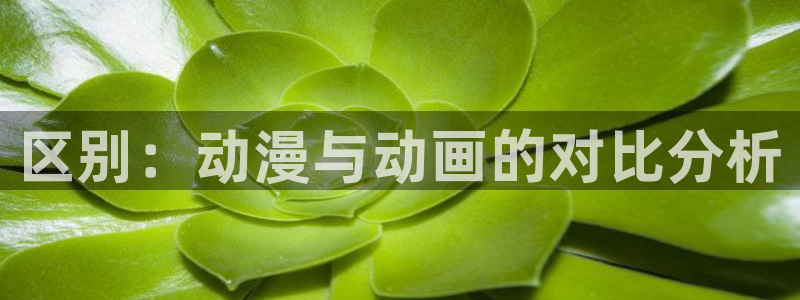 age动漫下载动漫全免费：区别：动漫与动画的对比分析