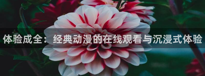 colamanage漫画：体验成全：经典动漫的在线观看与沉浸式体验