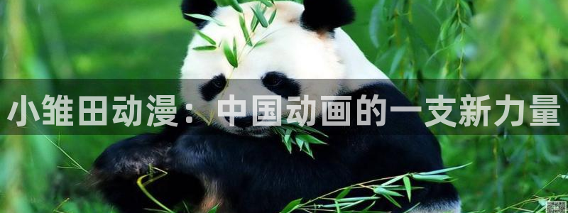 age动漫专注动漫的门户网站：小雏田动漫：中国动画的一支新力量