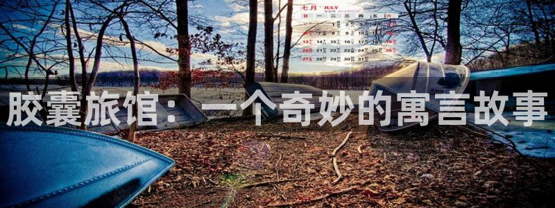 age动漫官网网址：胶囊旅馆：一个奇妙的寓言故事