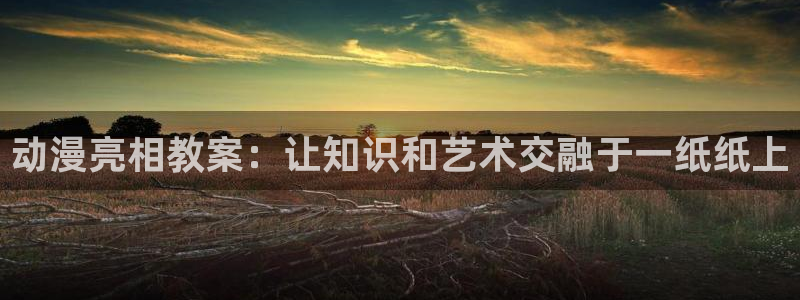 下载age动漫：动漫亮相教案：让知识和艺术交融于一纸纸上