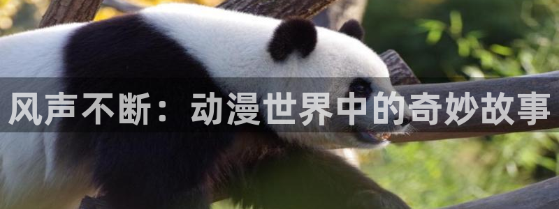 managereader漫画官网入口：风声不断：动漫世界中的奇妙故事