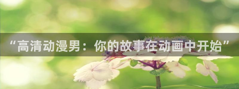 age动漫：“高清动漫男：你的故事在动画中开始”