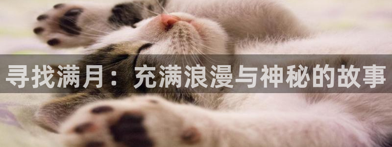age动漫官网樱花动漫：寻找满月：充满浪漫与神秘的故事