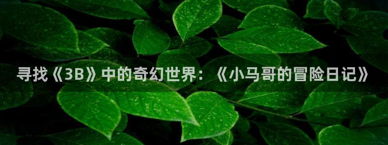 age动漫网上看