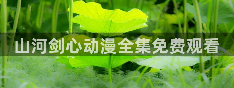 age动漫正版网