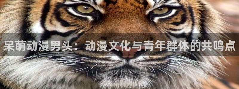 age漫画网