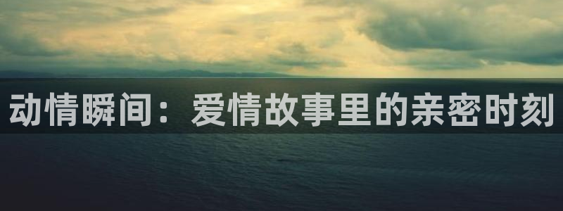 age动漫官网版入口