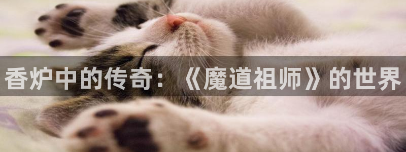 age动漫网上看