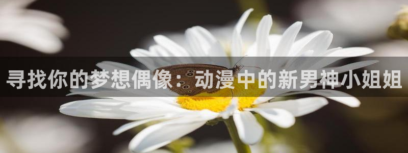 age动漫下载入口