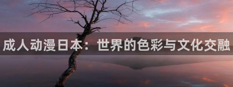 age动漫正版网：成人动漫日本：世界的色彩与文化交融