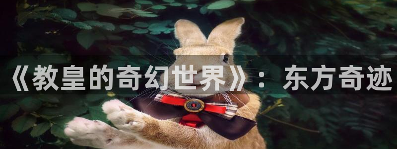 age动漫官网版入口