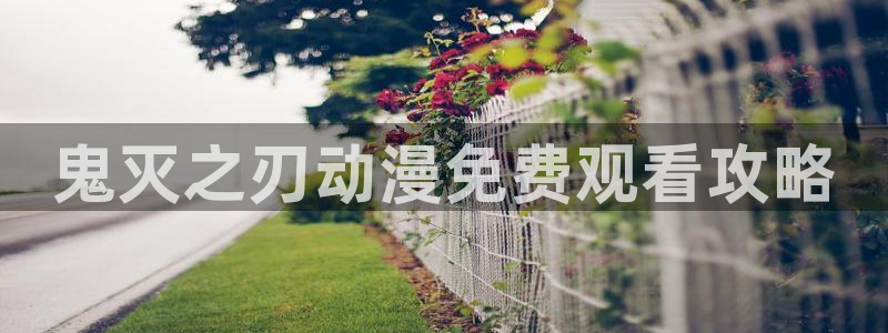 age动漫网下载