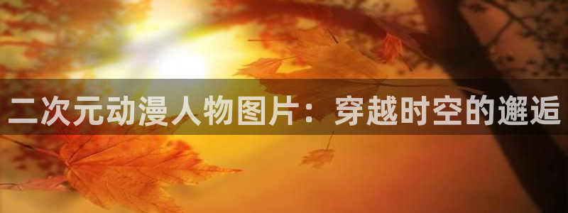 age动漫官网入口老版本