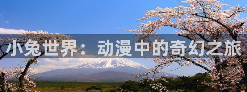 age动漫：小兔世界：动漫中的奇幻之旅